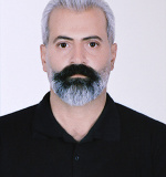 سیروان حمیدی