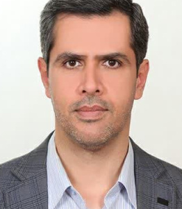 سید امیر حسین هاشمی گیلان