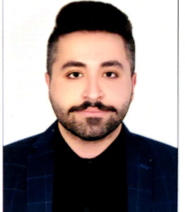 حسین انصاری