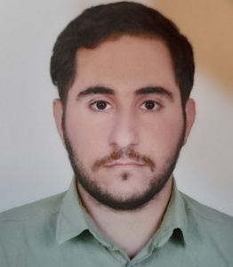 امیرحسین ده بالایی