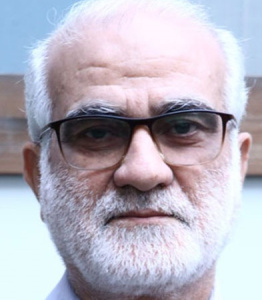 سید حسین صافی