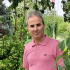 امیر طیبی