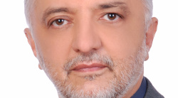 فرهنگ صفائی پور